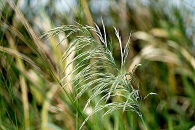 《命运2》游戏文件暗示Bungie测试付费包月订阅服务