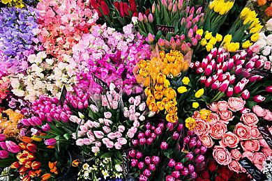 NVIDIA发布全新光追DEMO 体积达108GB