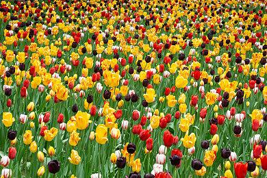 《腐烂国度3》更多细节披露 武器有更深入的自定义